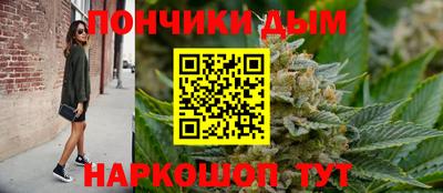 индика Аргун