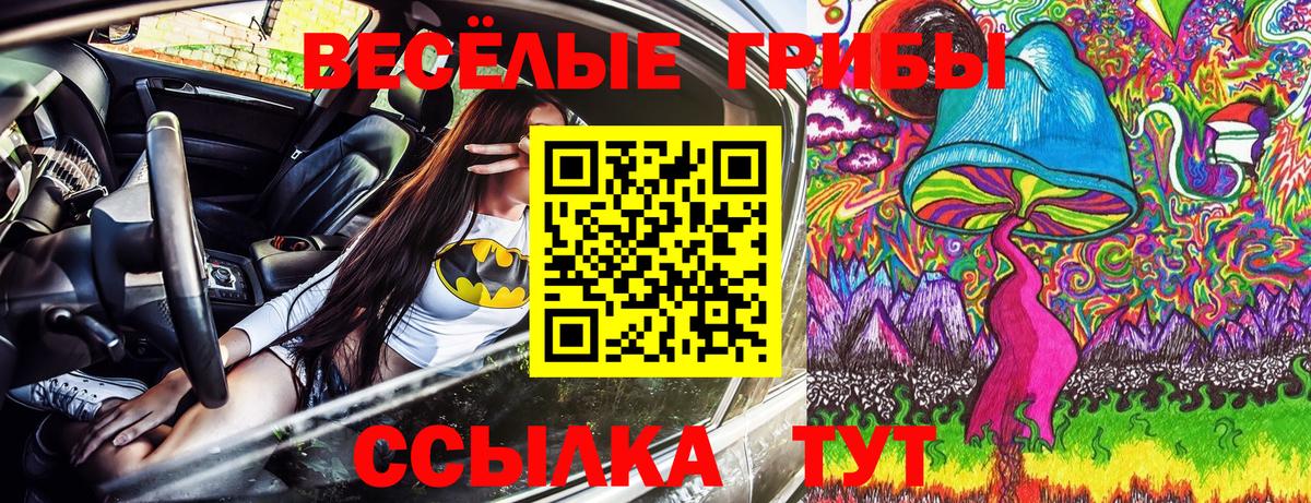 Борзя  Галлюциногенные грибы ЛСД  Галлюциногенные грибы ЛСД  Вход с VPN 